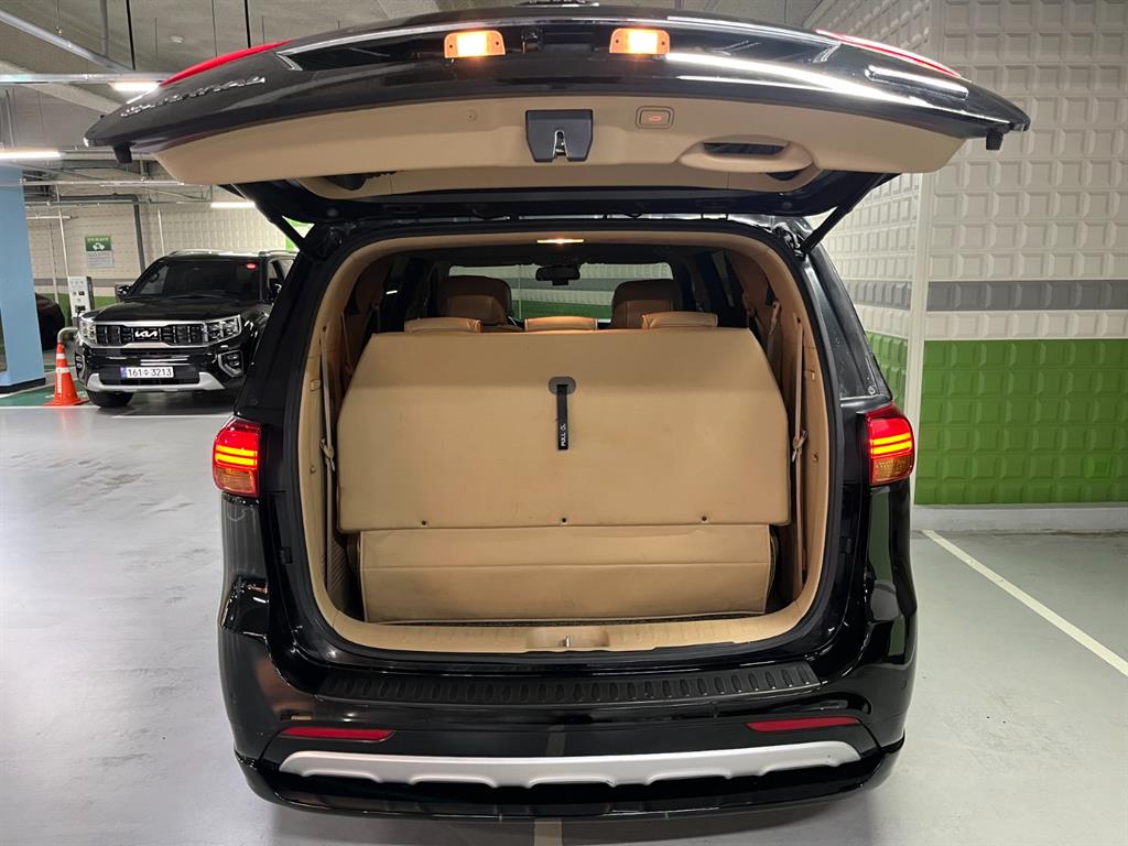 Kia Carnival — photo 19