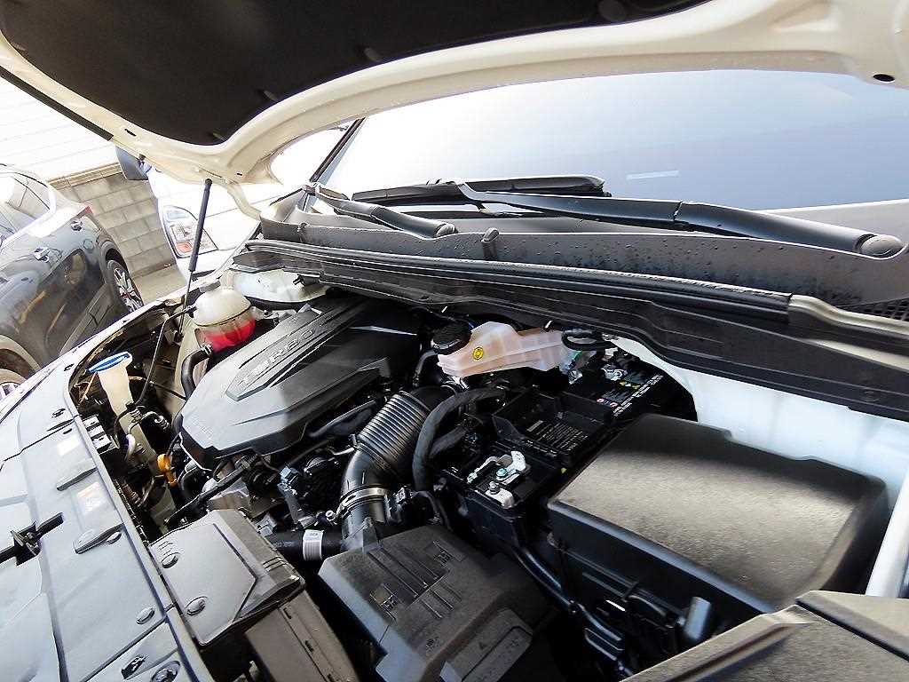 Kia Carnival — photo 19