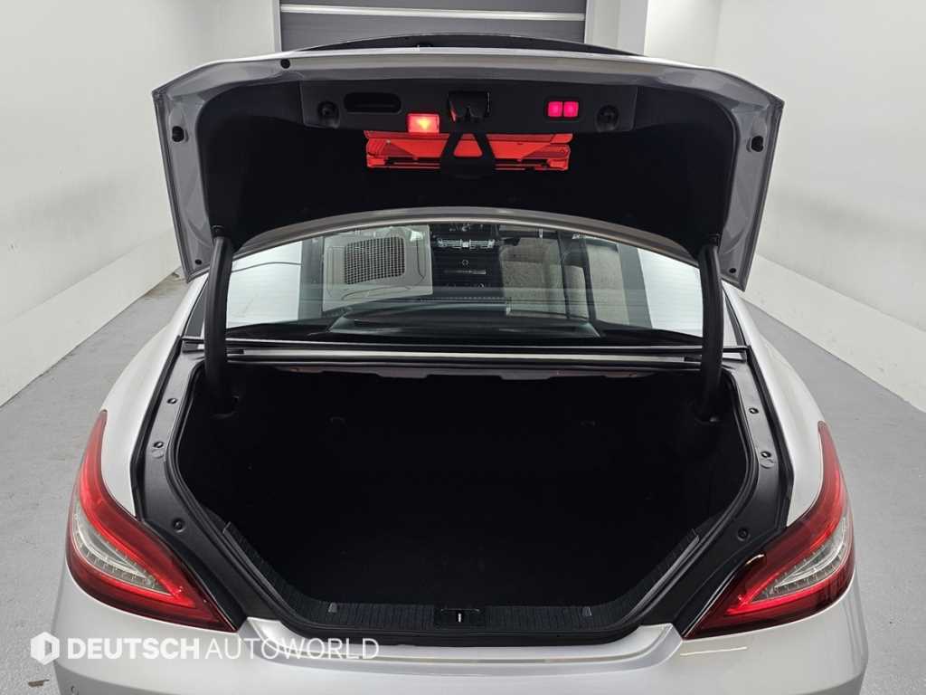Mercedes-Benz CLS-Class — photo 19