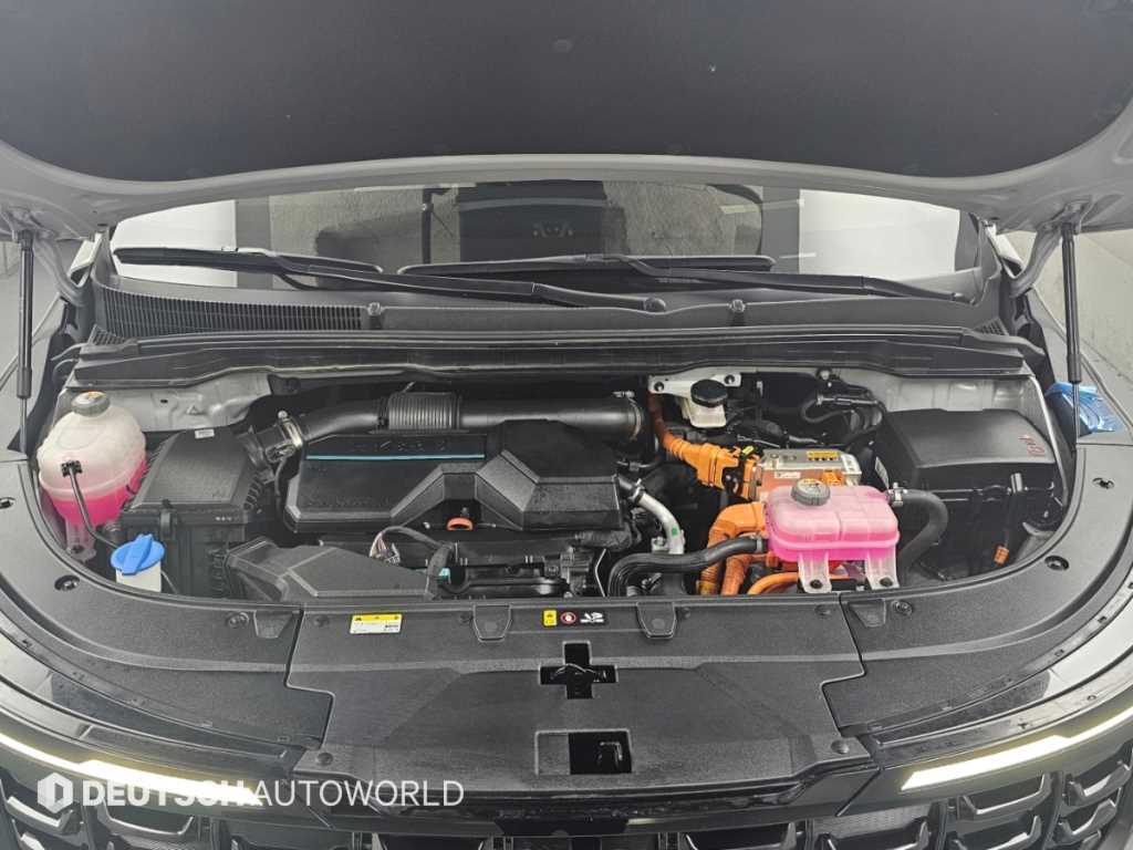 Kia Carnival — photo 06