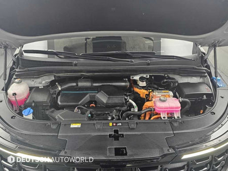 Kia Carnival — photo 06