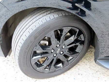 Kia Carnival — photo 20