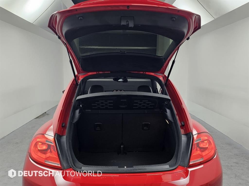 Volkswagen Beatle — photo 20