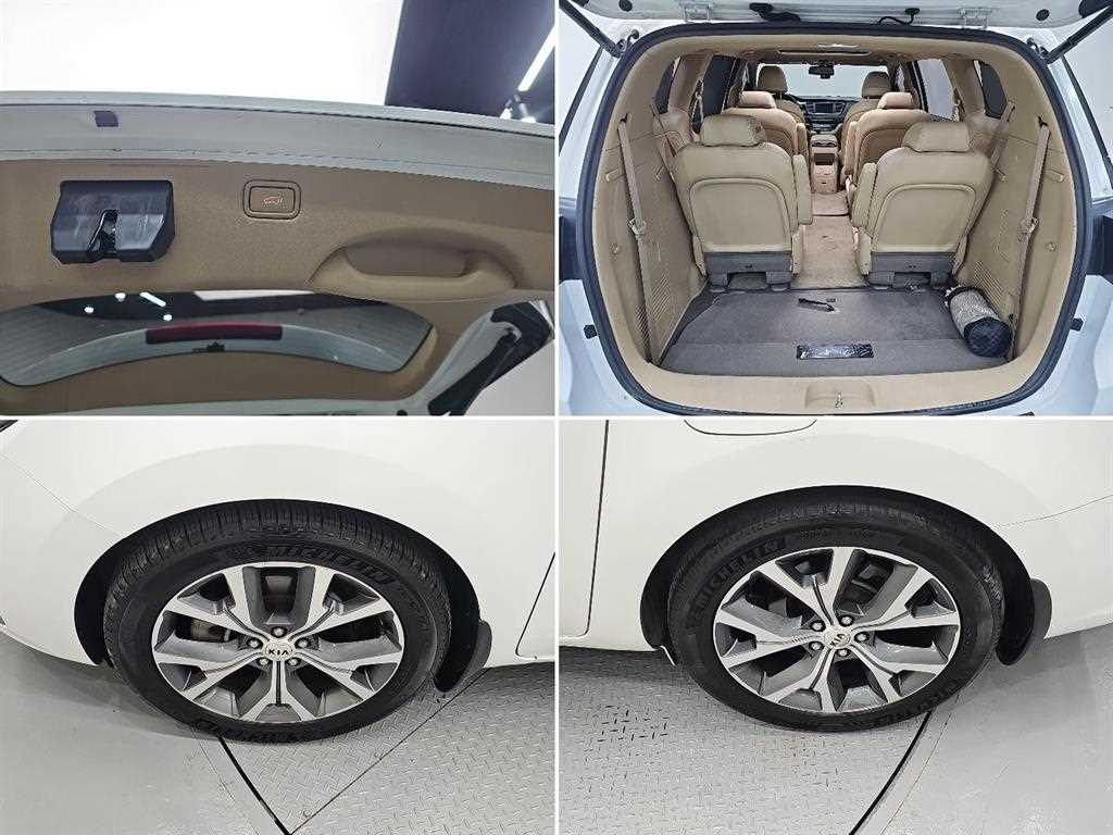 Kia Carnival — photo 20