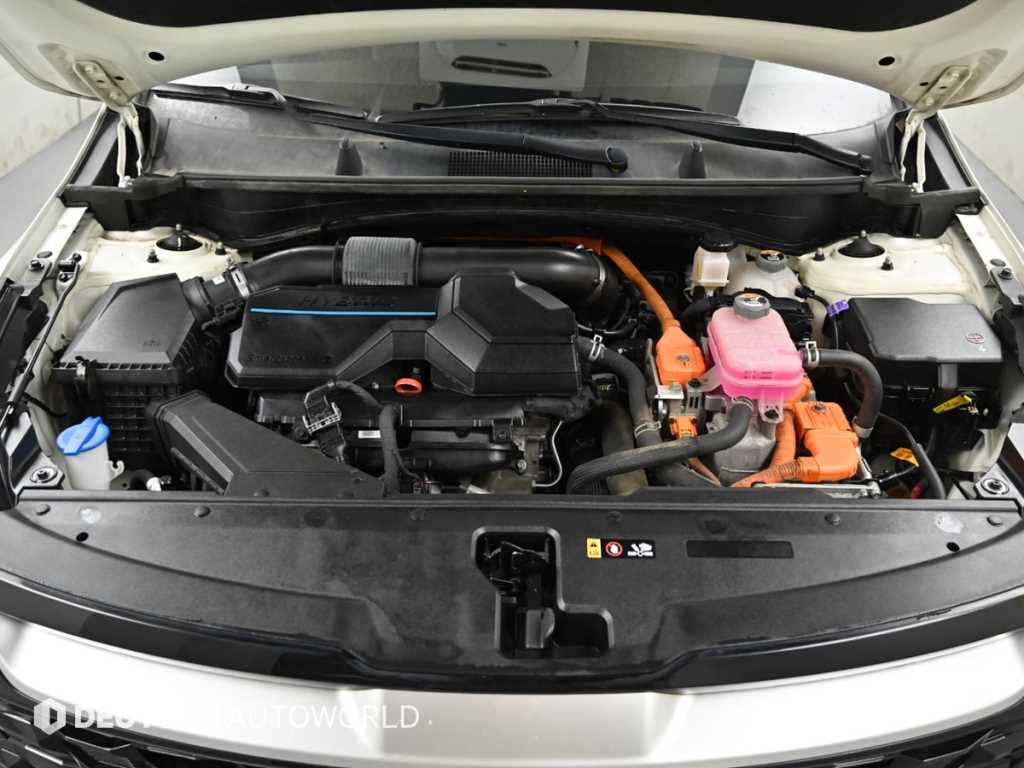 Kia Sportage — photo 06