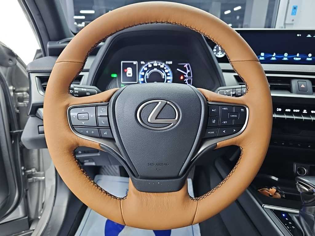 Lexus UX — photo 09