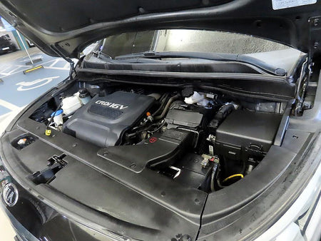 Kia Carnival — photo 19