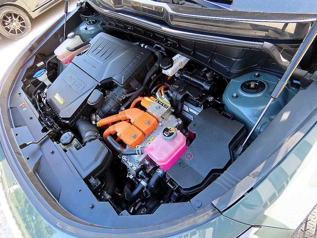 Kia Niro — photo 19