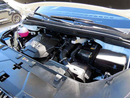 Kia Carnival — photo 19