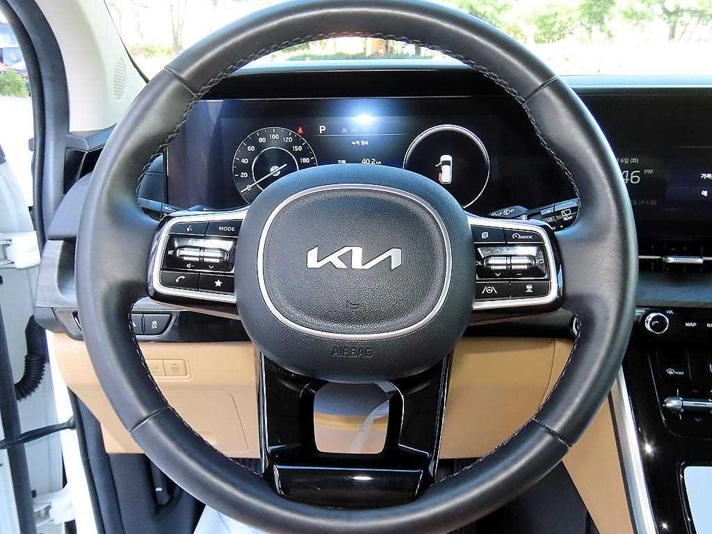 Kia Carnival — photo 10