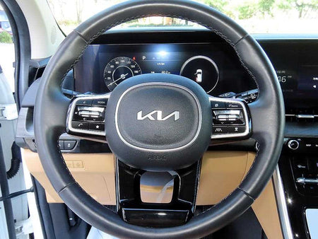 Kia Carnival — photo 10