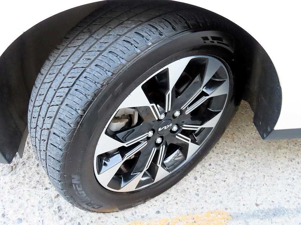 Kia Carnival — photo 20