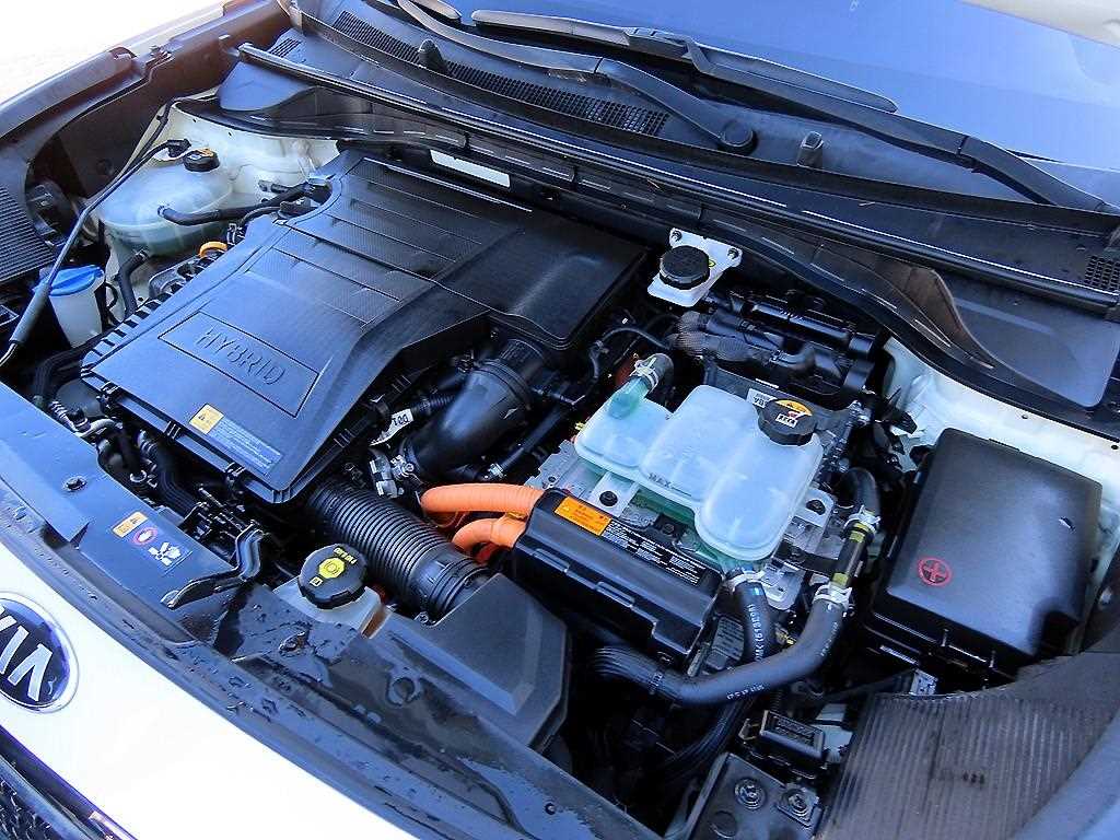 Kia Niro — photo 19