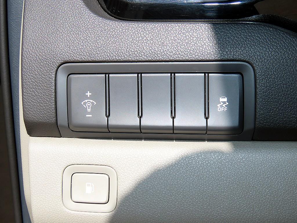 Kia Carnival — photo 13