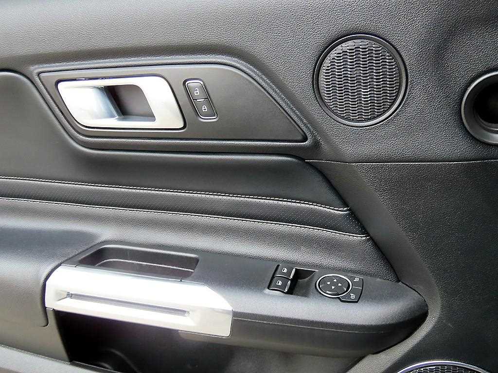 Ford Mustang — photo 11