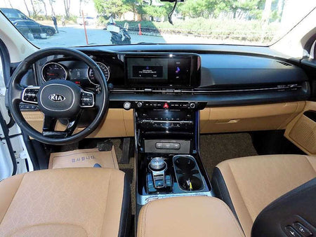 Kia Carnival — photo 08