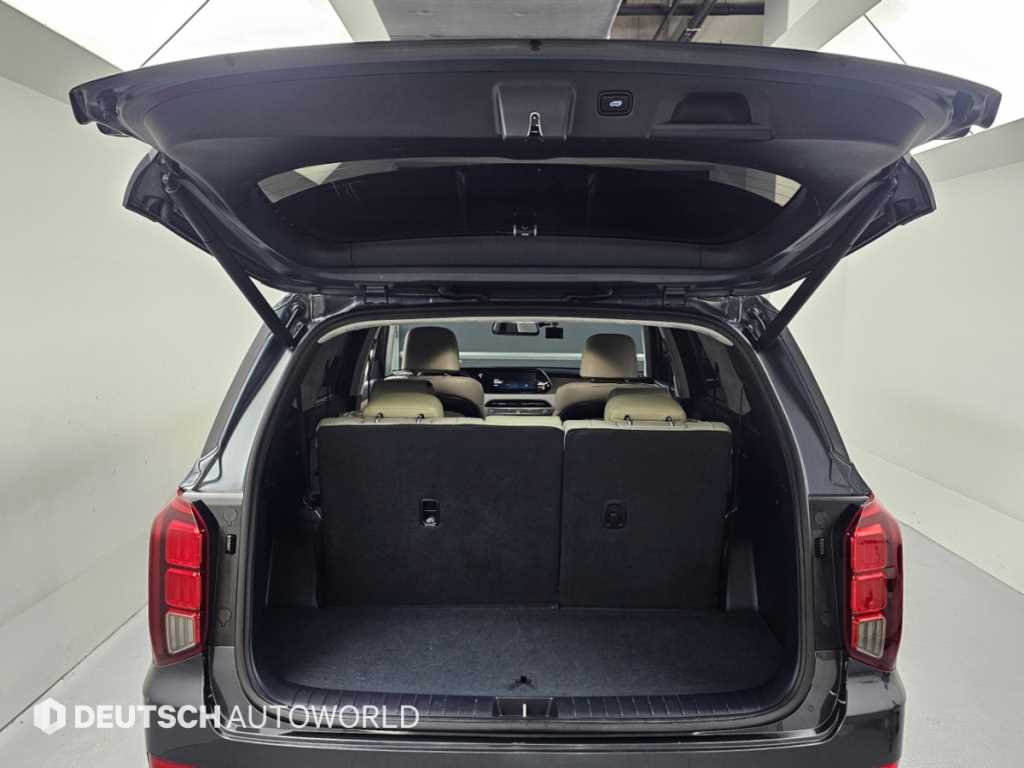 Hyundai Palisade — photo 19