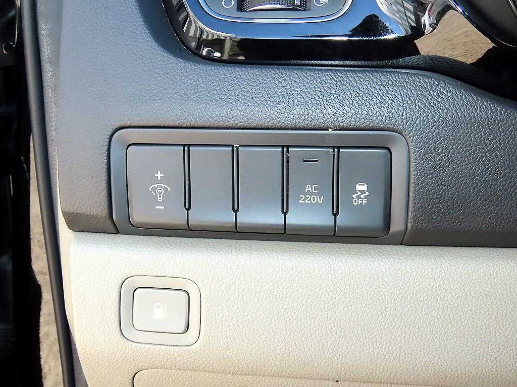 Kia Carnival — photo 13