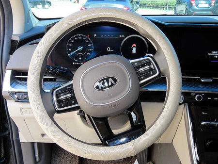 Kia Carnival — photo 10