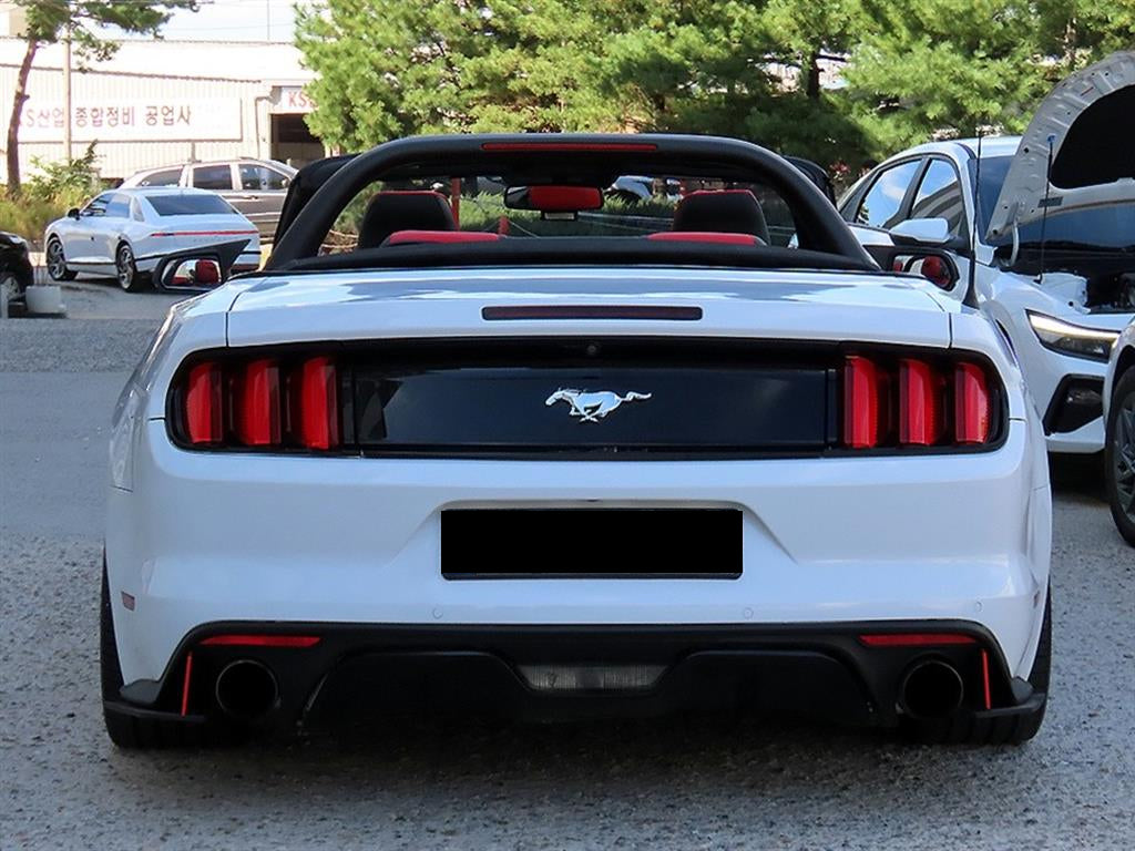 Ford Mustang — photo 04