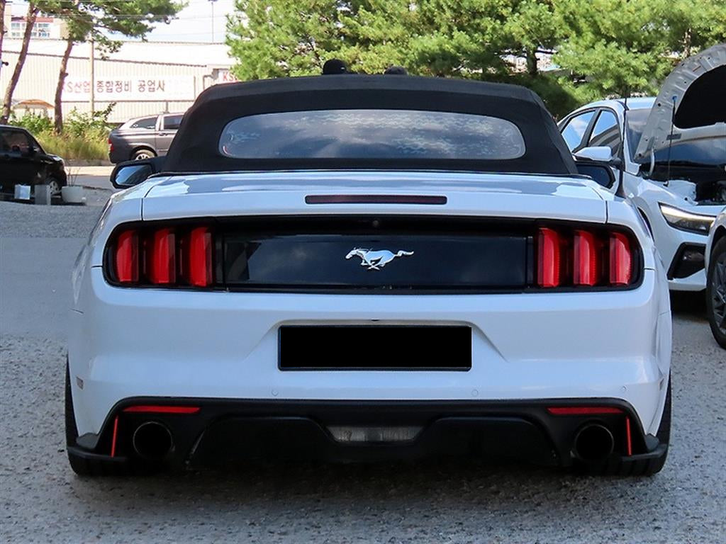 Ford Mustang — photo 08