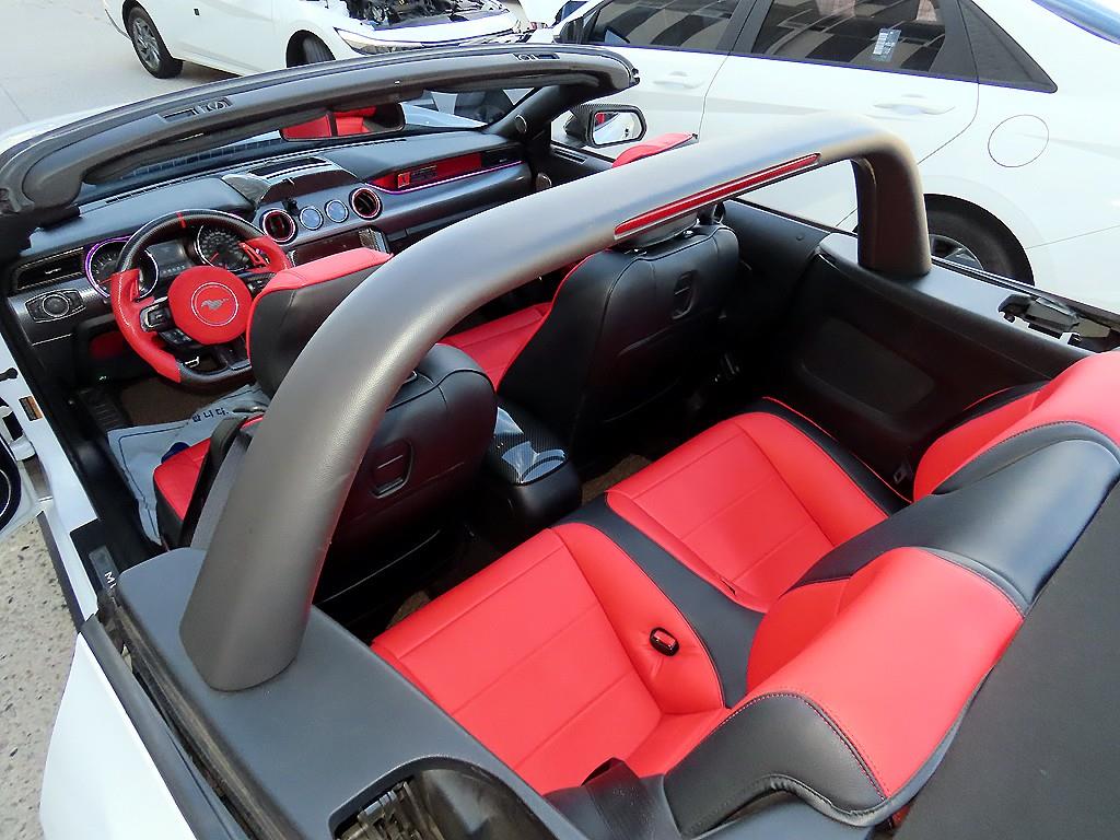 Ford Mustang — photo 09