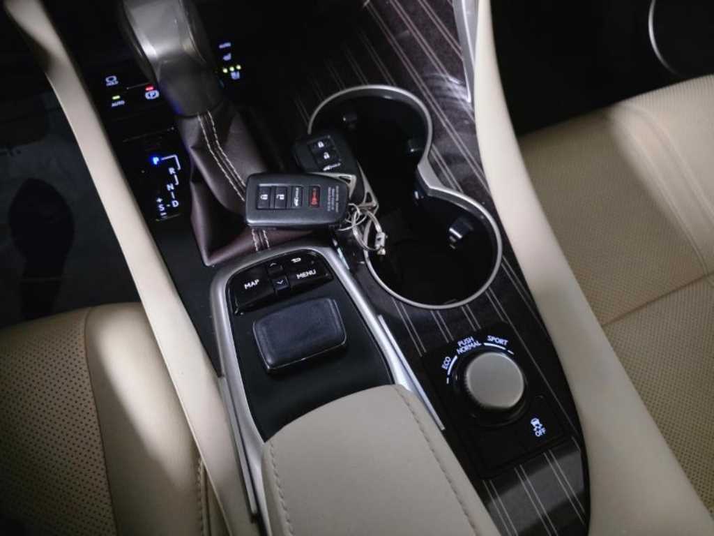 Lexus RX — photo 15