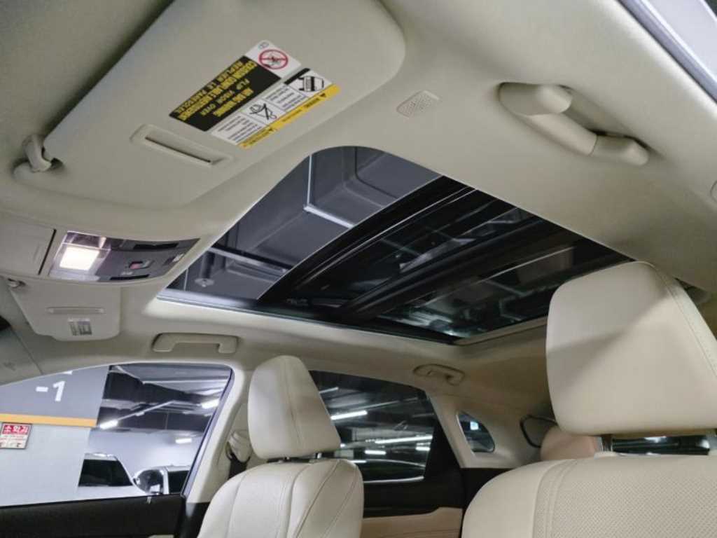 Lexus RX — photo 16
