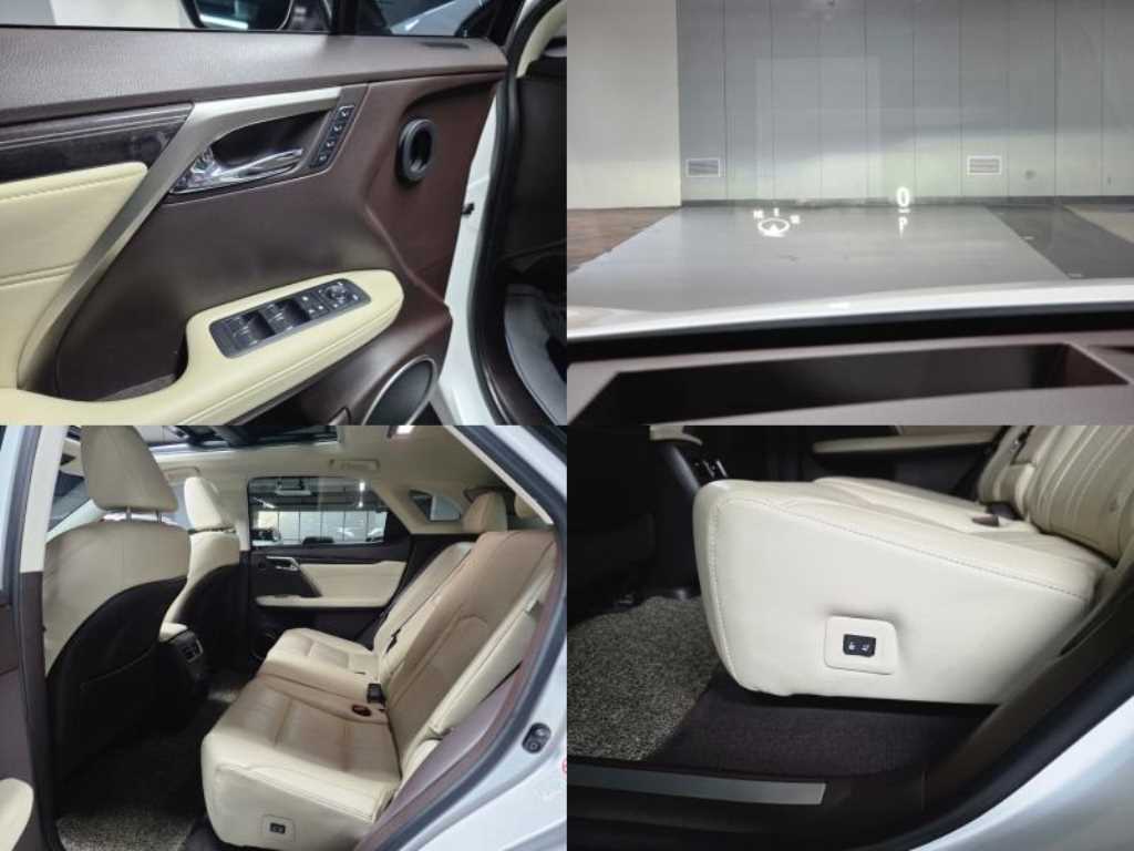 Lexus RX — photo 18