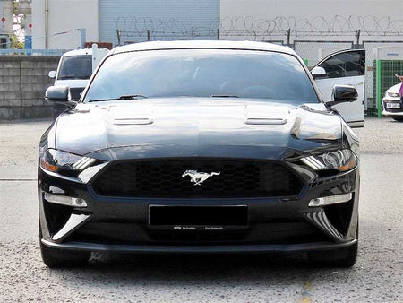 Ford Mustang — photo 01