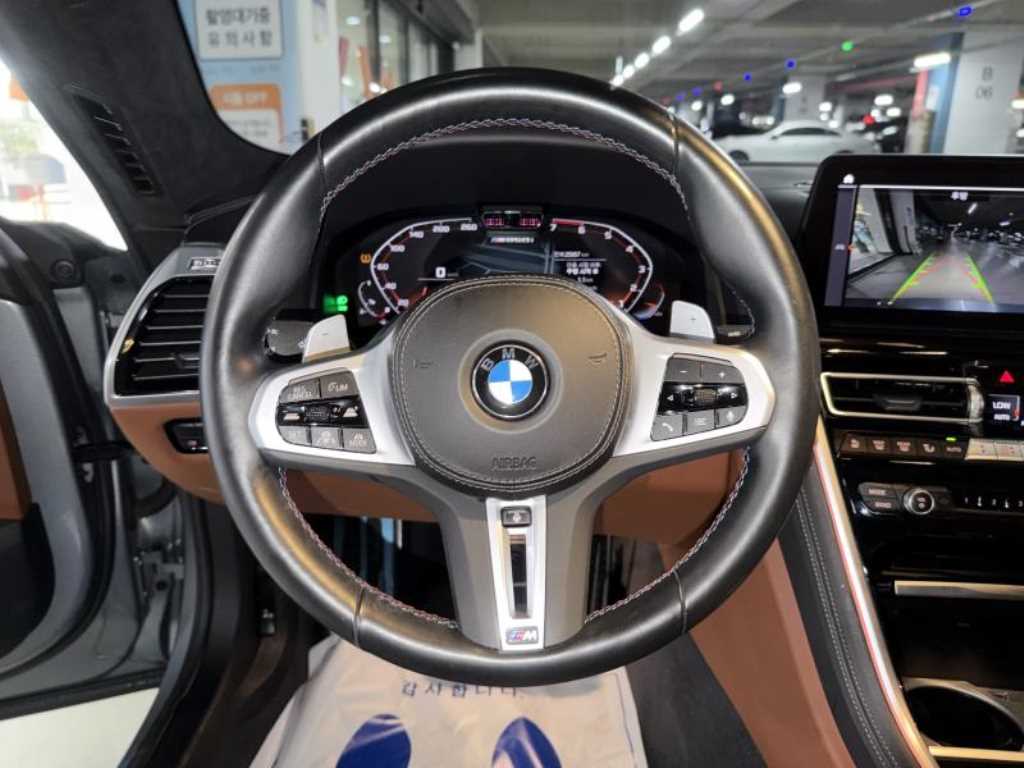 BMW 8-Series — photo 09