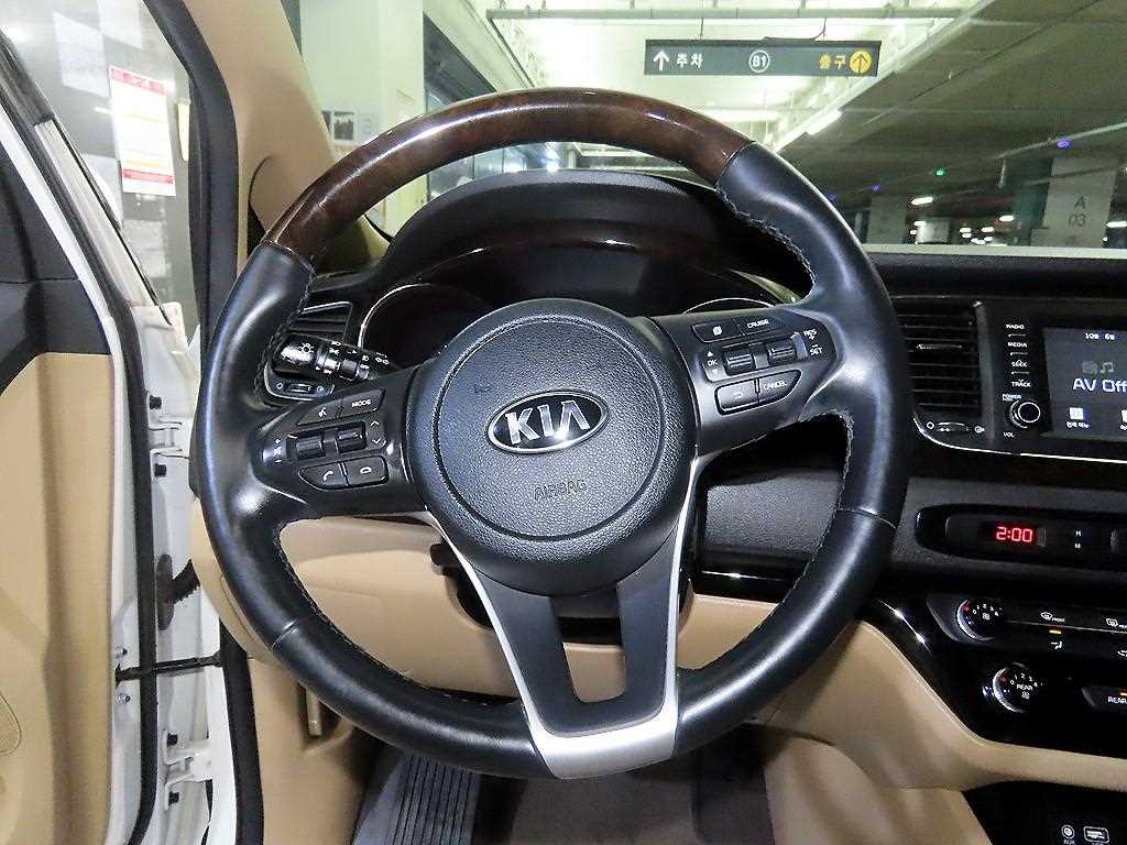 Kia Carnival — photo 08