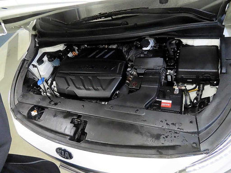 Kia Carnival — photo 19