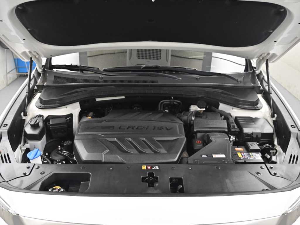 Hyundai Santafe — photo 06