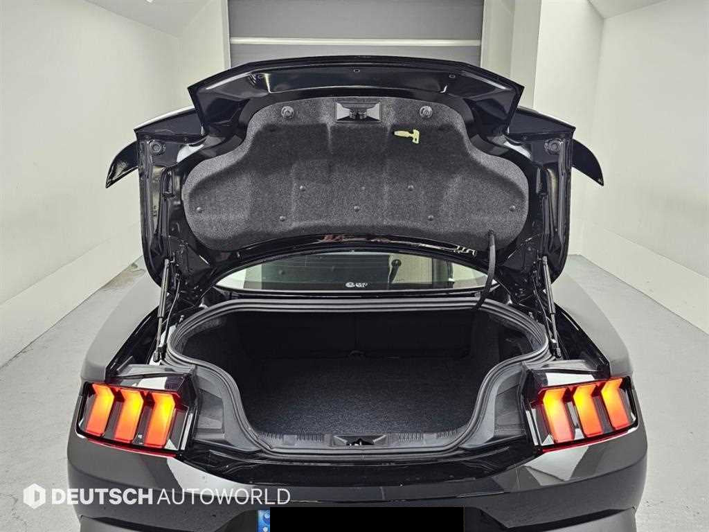 Ford Mustang — photo 19