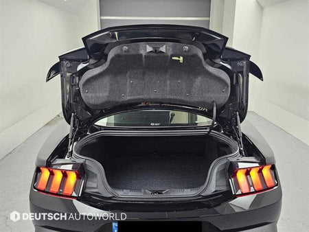 Ford Mustang — photo 19