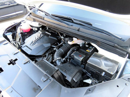 Kia Carnival — photo 19