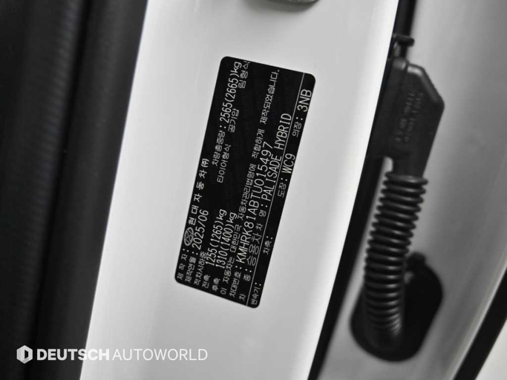 Hyundai Palisade — photo 20