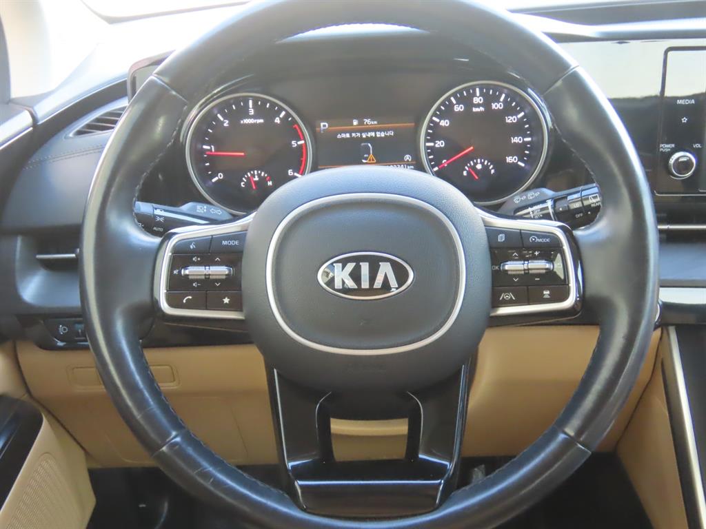 Kia Carnival — photo 10