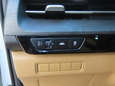 Kia Carnival — photo 14
