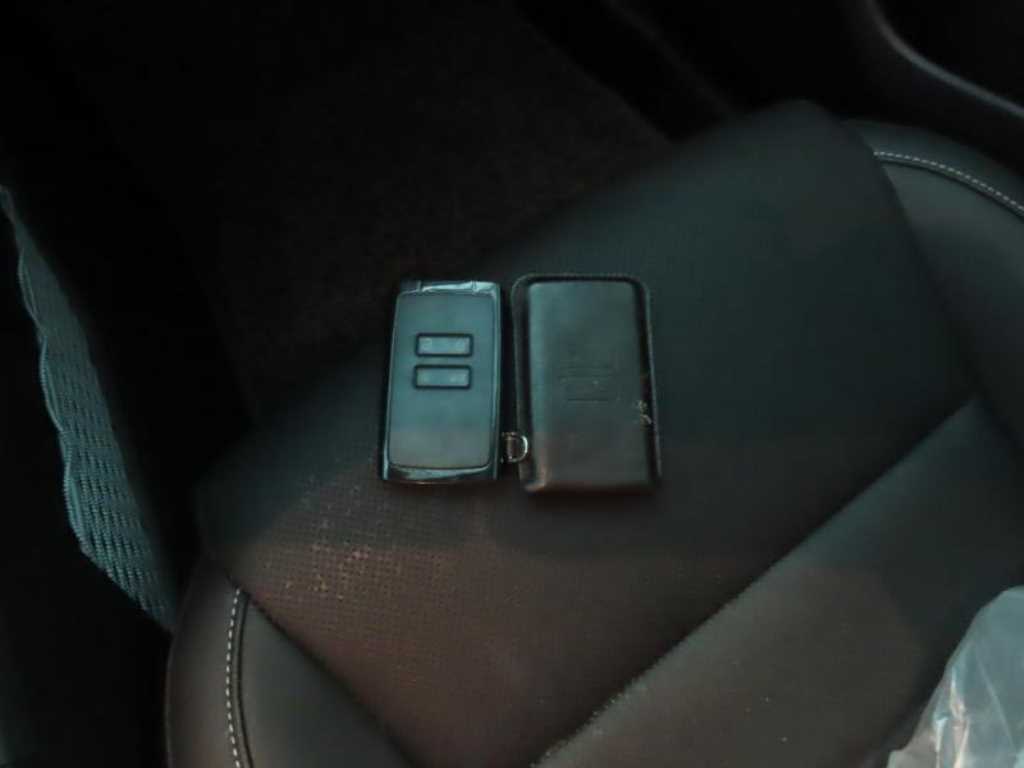 RENAULT XM3 — photo 18
