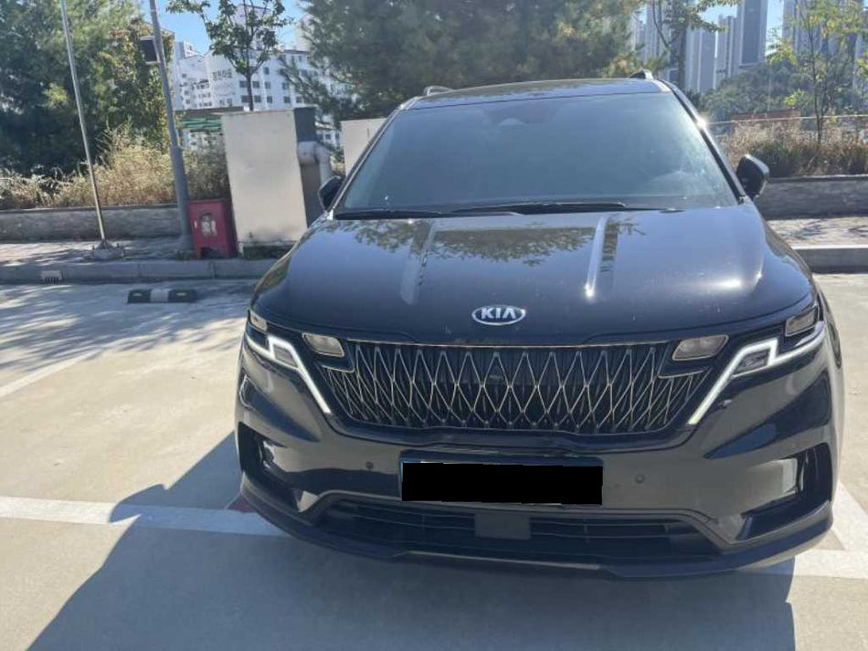 Kia Carnival — photo 01