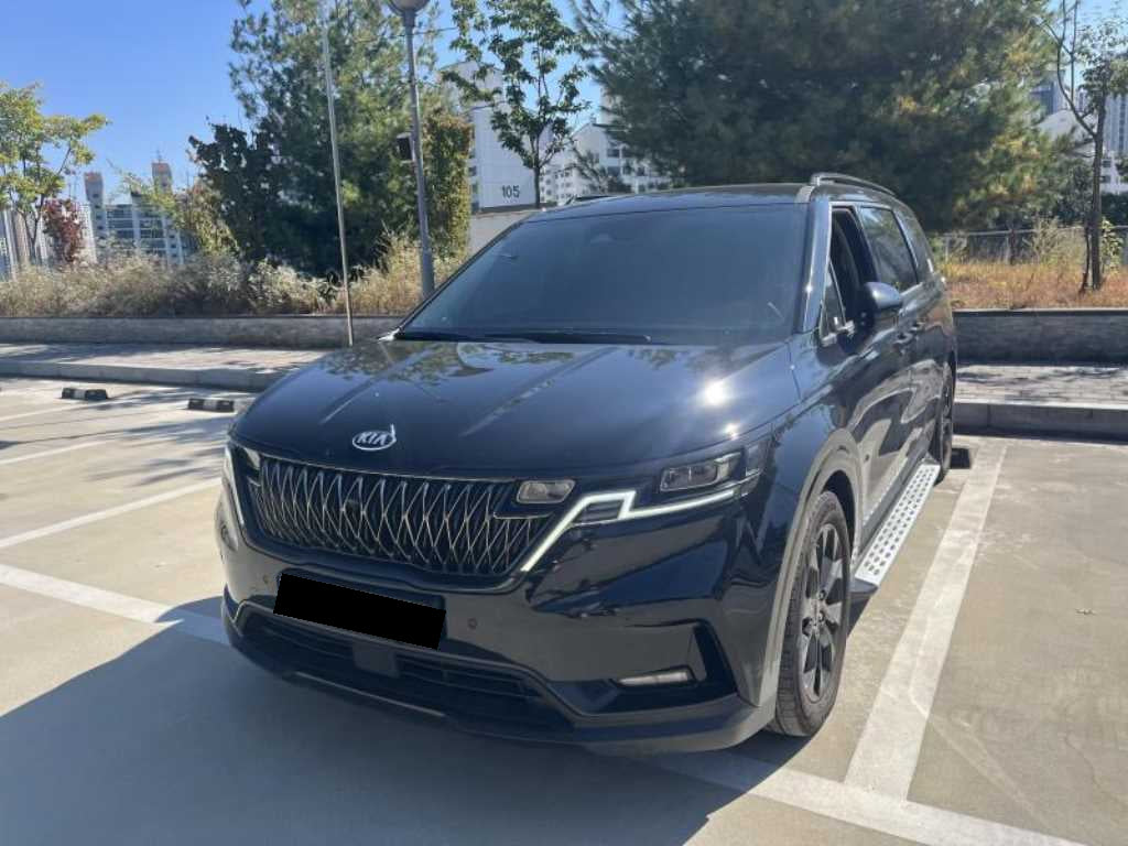 Kia Carnival — photo 13