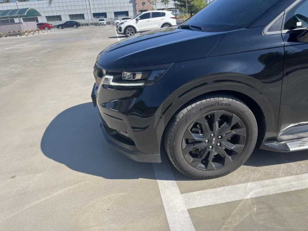 Kia Carnival — photo 14