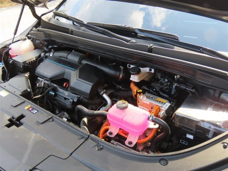 Kia Carnival — photo 20