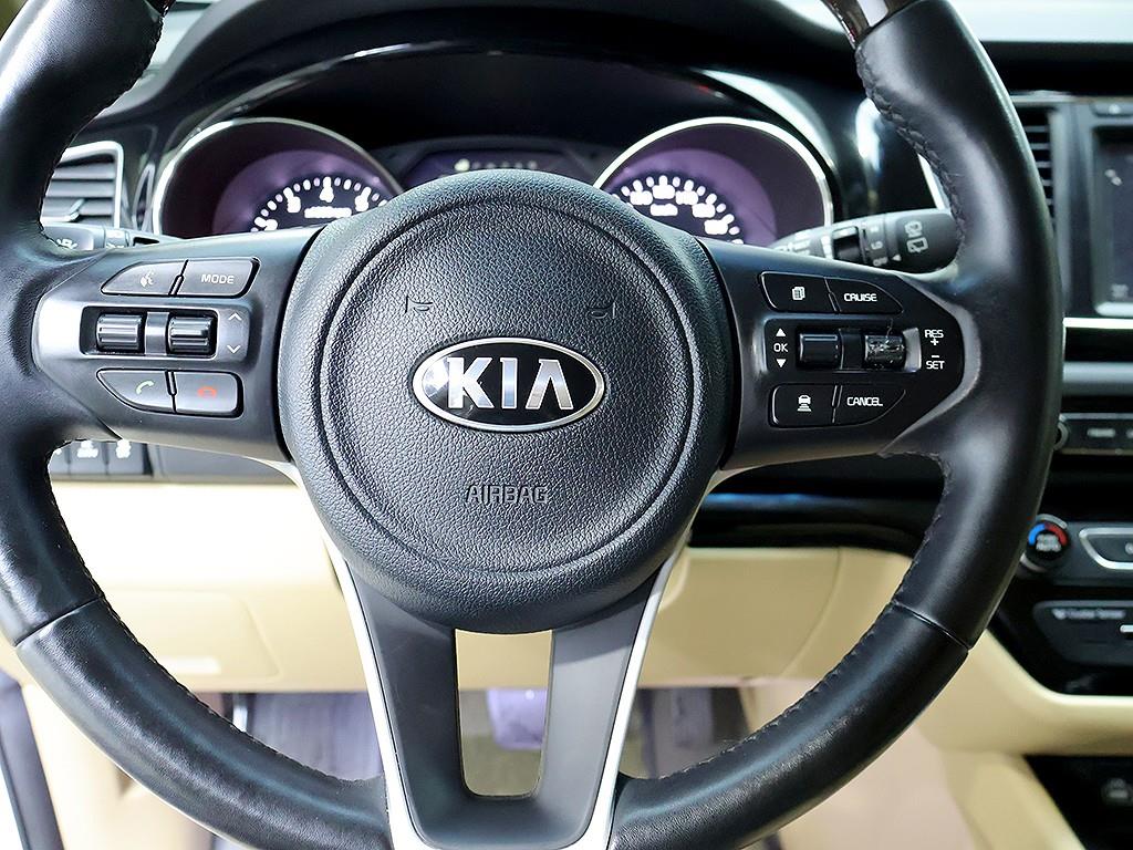 Kia Carnival — photo 14