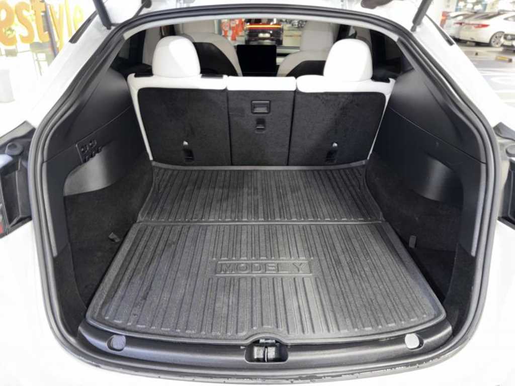 Tesla Model Y — photo 18