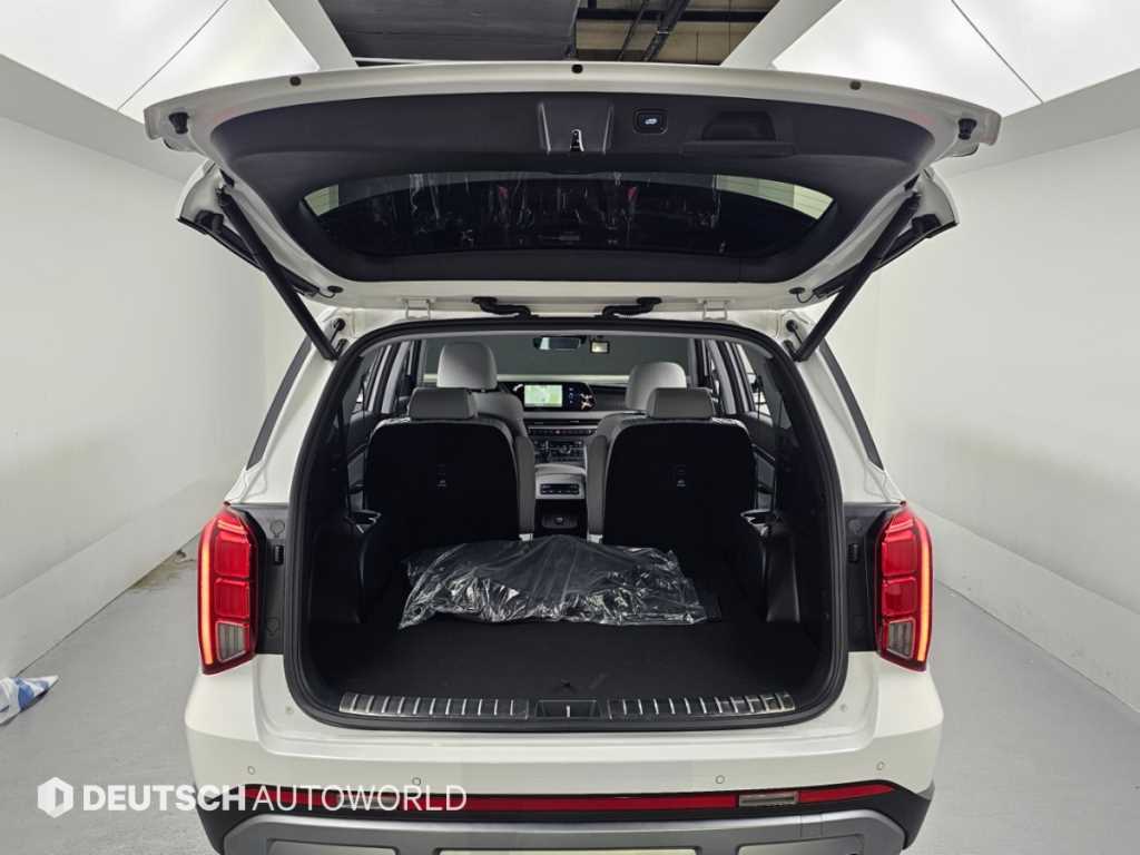 Hyundai Palisade — photo 19