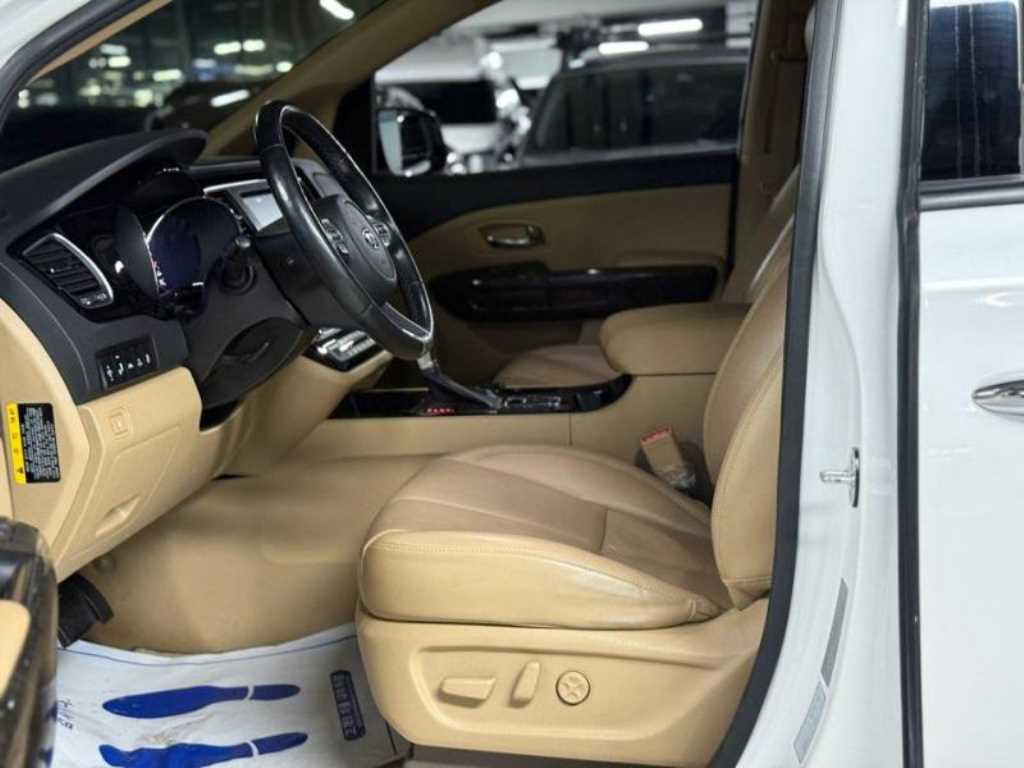 Kia Carnival — photo 10