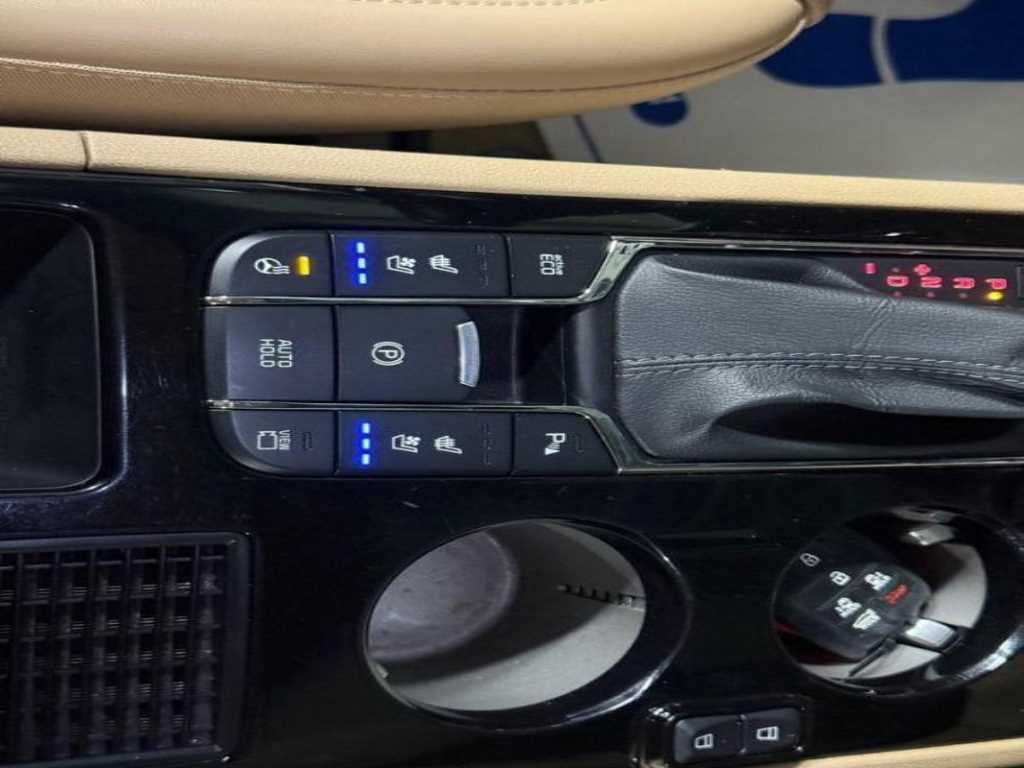 Kia Carnival — photo 18